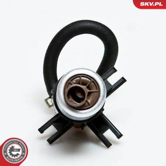 Unité d'injection de carburant ESEN SKV 02SKV729