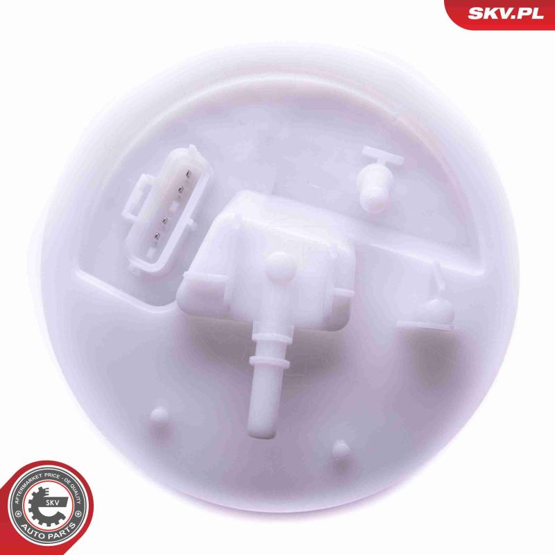 Unité d'injection de carburant ESEN SKV 02SKV817 - Visuel 1