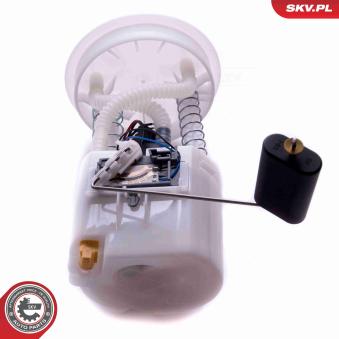 Unité d'injection de carburant ESEN SKV [02SKV818]