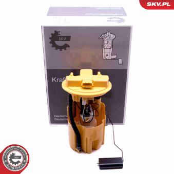Unité d'injection de carburant ESEN SKV OEM 172026944R Unité d'injection de carburant ESEN SKV OEM 172026944R