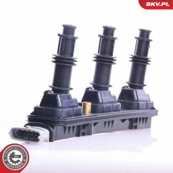 Bobine d'allumage ESEN SKV OEM 133856 Bobine d'allumage ESEN SKV OEM 133856