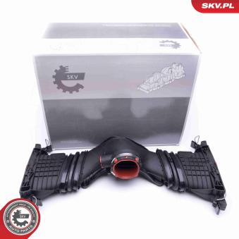 Module de tube d'admission ESEN SKV [07SKV996]