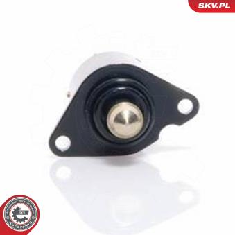 Controle de ralenti, alimentation en air ESEN SKV OEM 19209L