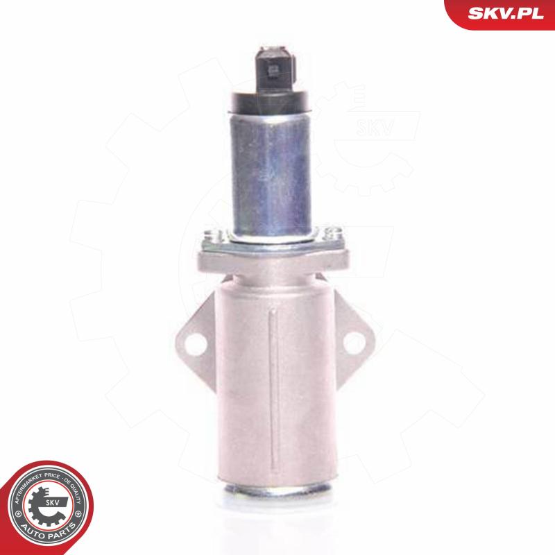 Controle de ralenti, alimentation en air ESEN SKV 08SKV220 - Visuel 1