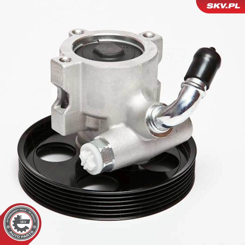 Pompe hydraulique, direction ESEN SKV 10SKV002 - Visuel 1