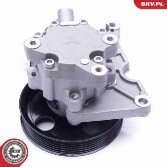 Pompe hydraulique, direction ESEN SKV OEM 0044669301 Pompe hydraulique, direction ESEN SKV OEM 0044669301