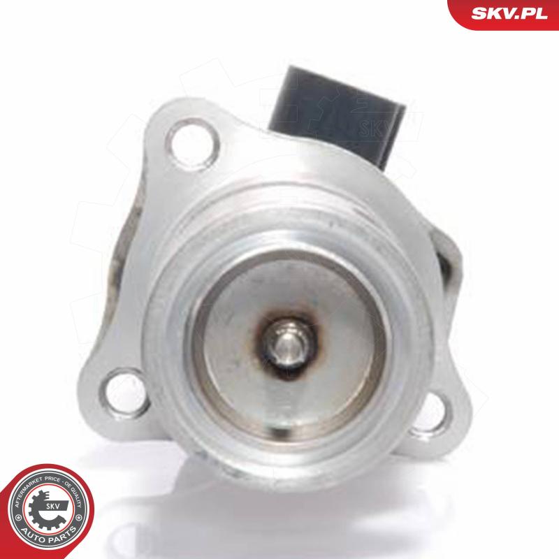Vanne EGR ESEN SKV 14SKV009 - Visuel 1