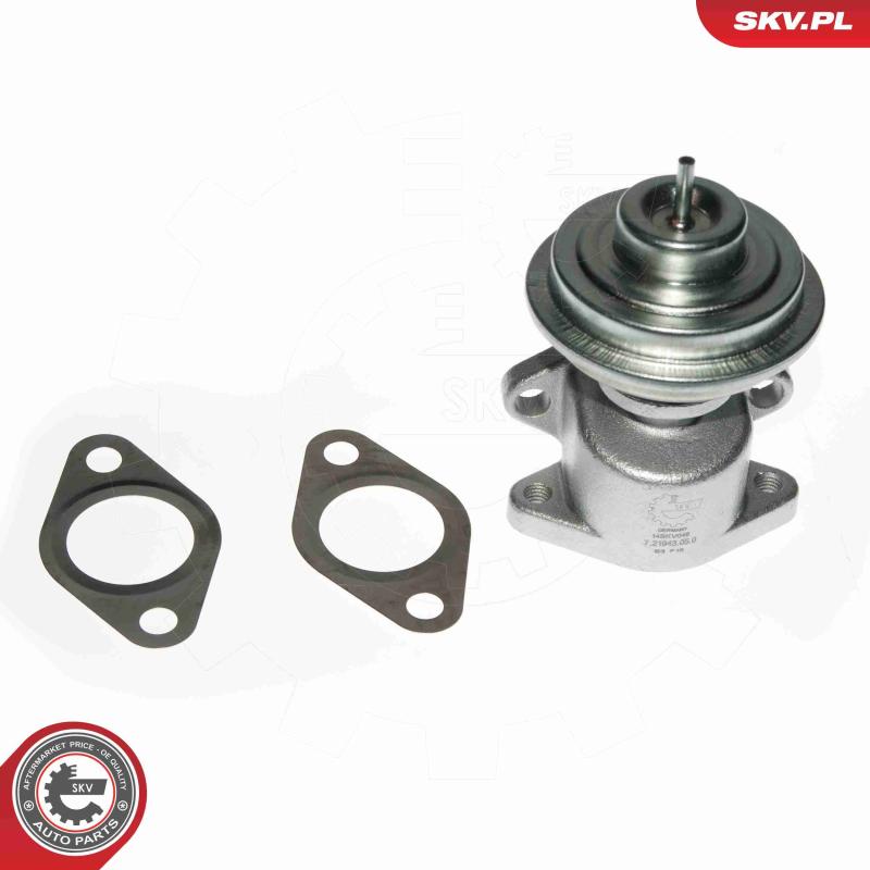 Vanne EGR ESEN SKV 14SKV049 - Visuel 2