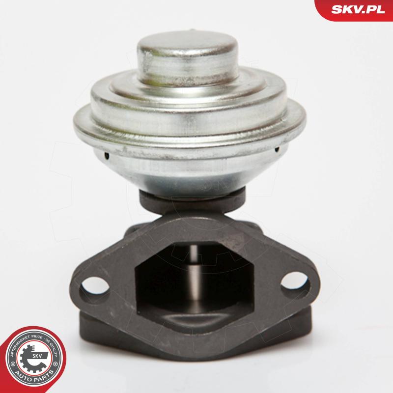 Vanne EGR ESEN SKV 14SKV052 - Visuel 2