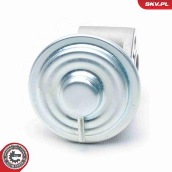 Vanne EGR ESEN SKV [14SKV104]