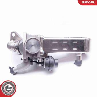 Module-EGR ESEN SKV OEM 147355X00B