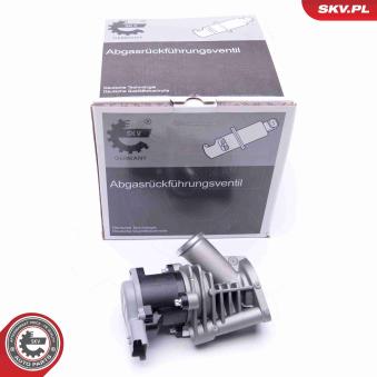 Vanne EGR ESEN SKV [14SKV173]