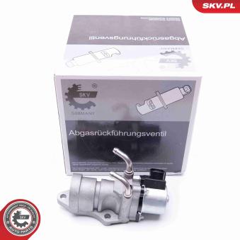 Vanne EGR ESEN SKV OEM 2562027080