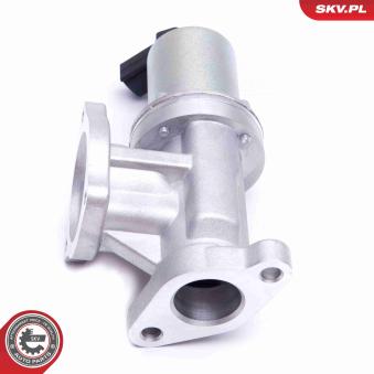 Vanne EGR ESEN SKV OEM 138495