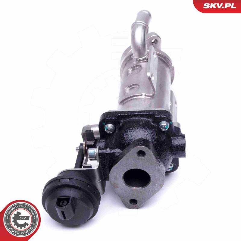 Radiateur, réaspiration des gaz d'échappement ESEN SKV 14SKV227 - Visuel 1