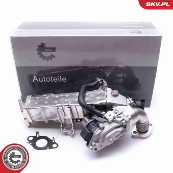 Vanne EGR complète ESEN SKV OEM 8513691 Vanne EGR complète ESEN SKV OEM 8513691