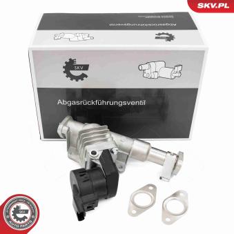 Vanne EGR ESEN SKV 14SKV287 pour AUDI A3 520 i - 170cv