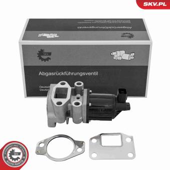 Vanne EGR ESEN SKV [14SKV300]