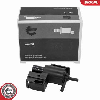 Transmetteur de pression ESEN SKV [14SKV933]