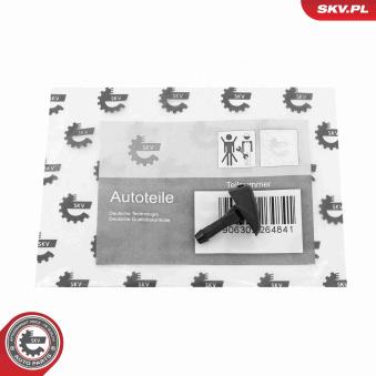 Gicleur d'eau de nettoyage, nettoyage des vitres ESEN SKV 15SKV203