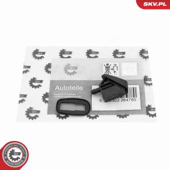 Gicleur d'eau de nettoyage, nettoyage des vitres ESEN SKV 15SKV205 pour FORD C-MAX 2.0 TDCi - 170cv