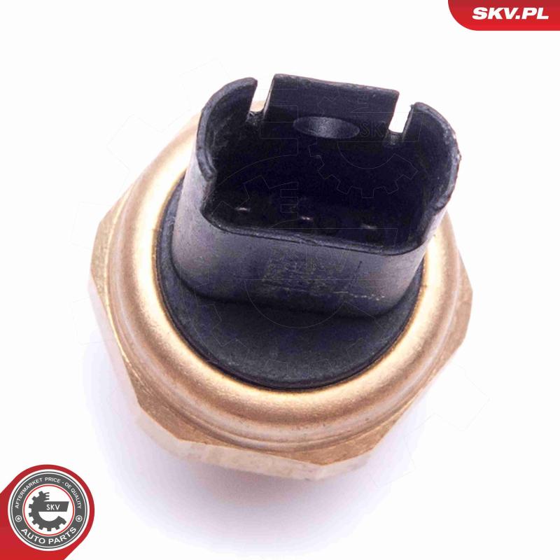 Capteur, pression de carburant ESEN SKV 17SKV620 - Visuel 2