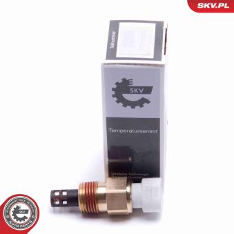 Capteur, température de l'air d'admission ESEN SKV [17SKV678]