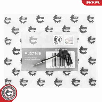 Capteur, température intérieur ESEN SKV 17SKV984