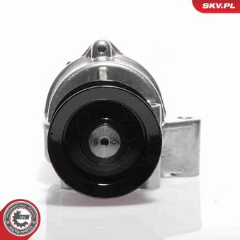Pompe à vide, système de freinage ESEN SKV 18SKV002 pour FORD KUGA 2.4 TDCi - 100cv