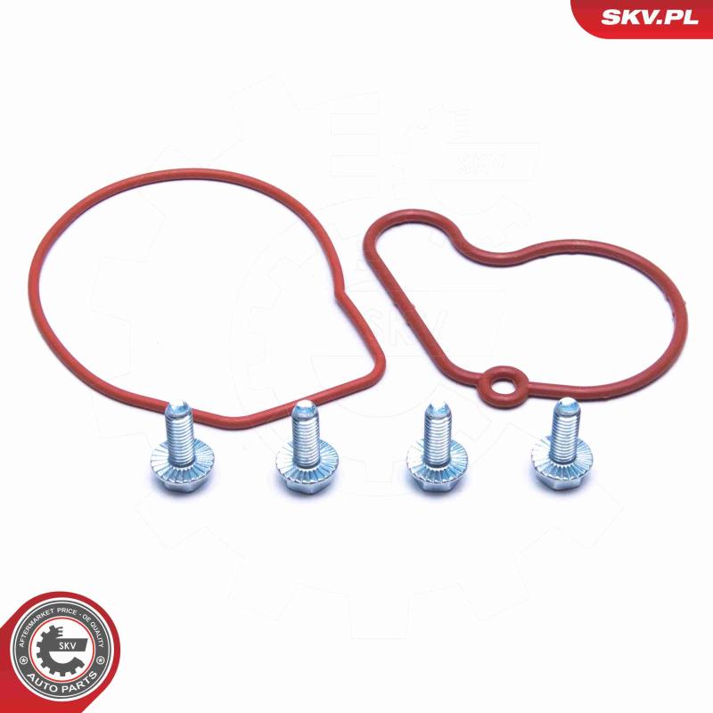 Kit de réparation, pompe à vide (freinage) ESEN SKV 18SKV807 - Visuel 1