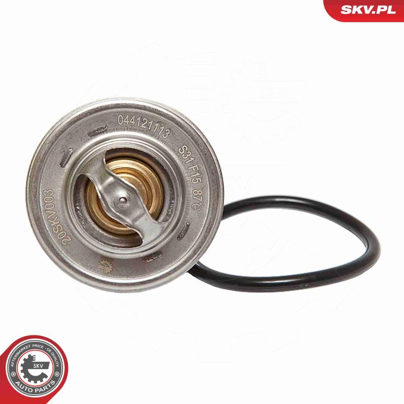 Thermostat d'eau ESEN SKV 20SKV003 - Visuel 1