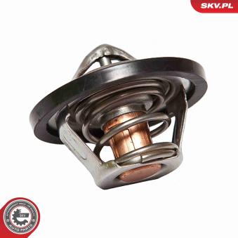 Thermostat d'eau ESEN SKV OEM 24435781