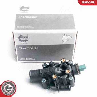Thermostat d'eau ESEN SKV OEM 1336Z0 Thermostat d'eau ESEN SKV OEM 1336Z0