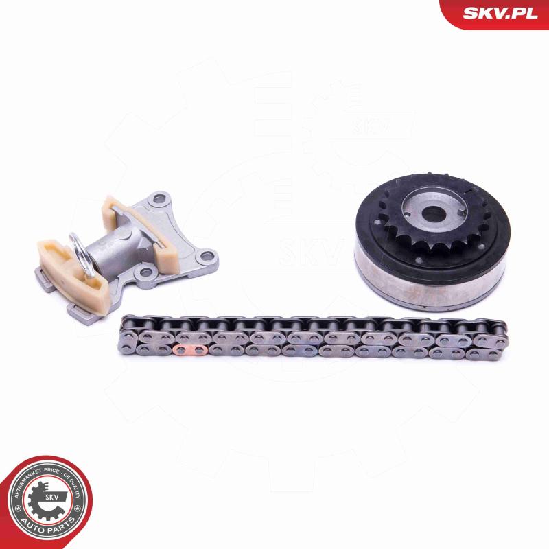 Kit de distribution par chaîne ESEN SKV 21SKV115 - Visuel 1