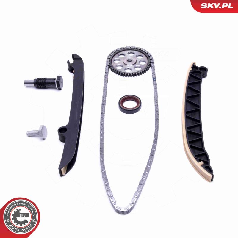 Kit de distribution par chaîne ESEN SKV 21SKV154 - Visuel 1