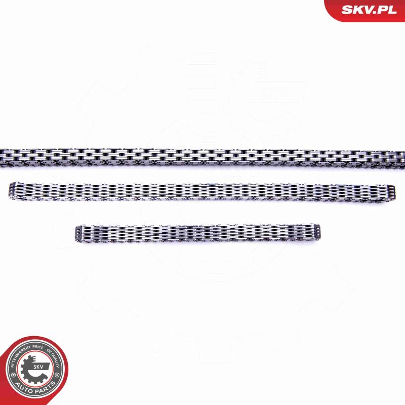 Kit de distribution par chaîne ESEN SKV 21SKV163 - Visuel 2