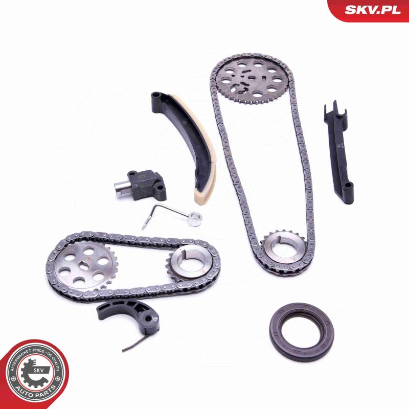 Kit de distribution par chaîne ESEN SKV 21SKV209 - Visuel 1