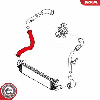 Durite de radiateur ESEN SKV OEM 1374657
