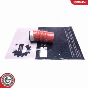 Gaine de suralimentation ESEN SKV 24SKV542 pour BMW X5 xDrive 30 d - 211cv