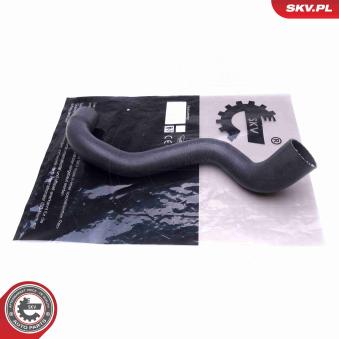 Gaine de suralimentation ESEN SKV OEM 5860033