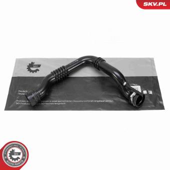 Gaine de suralimentation ESEN SKV OEM 8200551942 Gaine de suralimentation ESEN SKV OEM 8200551942