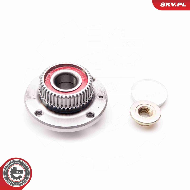 Roulement de roue arrière ESEN SKV 29SKV043 - Visuel 1