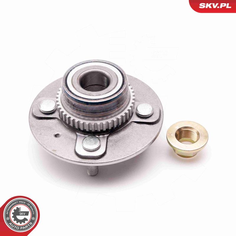 Roulement de roue arrière ESEN SKV 29SKV089 - Visuel 1