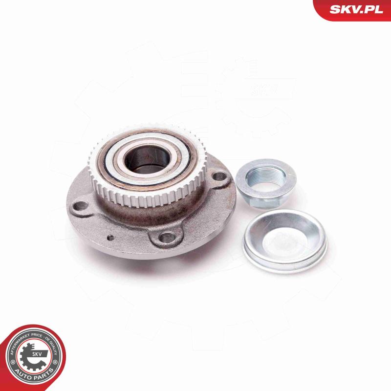 Roulement de roue arrière ESEN SKV 29SKV101 - Visuel 1