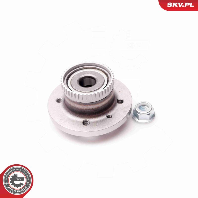 Roulement de roue arrière ESEN SKV 29SKV102 - Visuel 1