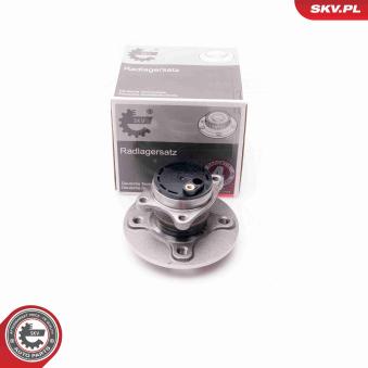 Roulement de roue arrière ESEN SKV [29SKV167]