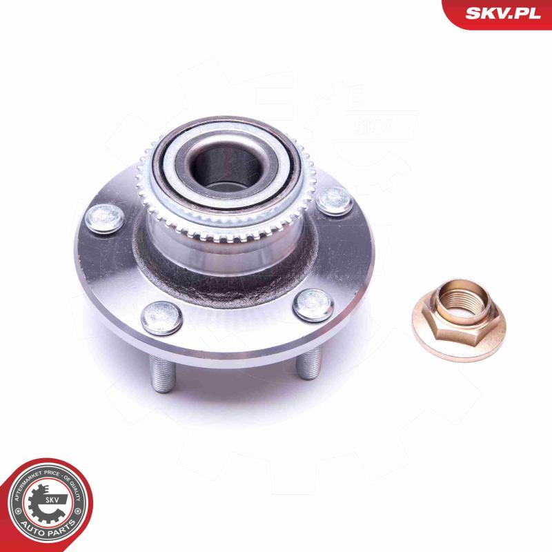 Roulement de roue arrière ESEN SKV 29SKV219 - Visuel 1