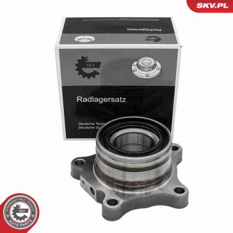 Roulement de roue arrière ESEN SKV OEM 4245060070 Roulement de roue arrière ESEN SKV OEM 4245060070