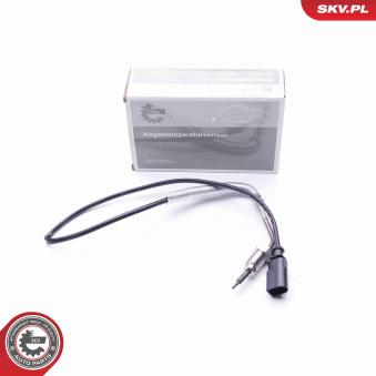 Capteur, température des gaz ESEN SKV [30SKV110]