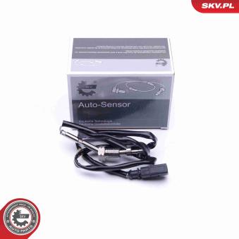 Capteur, température des gaz ESEN SKV OEM 03L906088FA